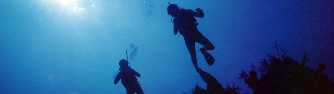 Divers profiled against the ocean blue