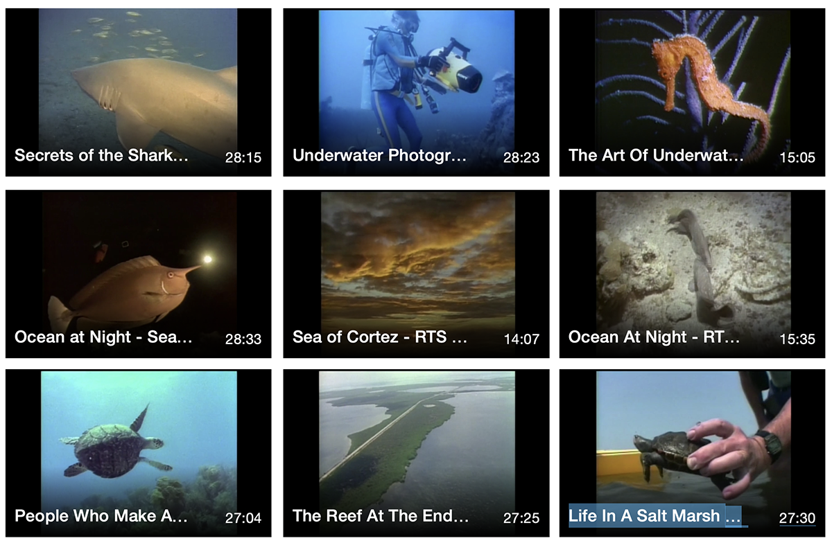 Screen Shot PBS Return to the Sea series.